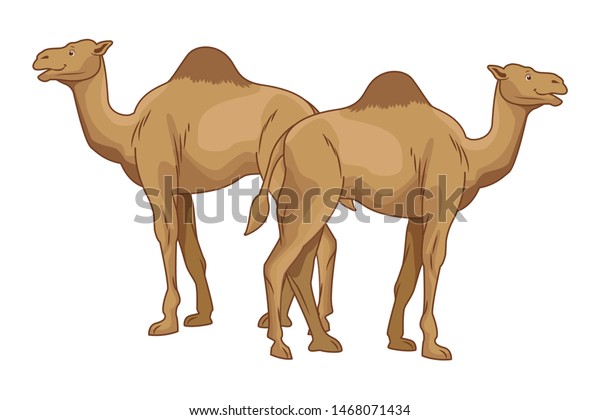 2頭のラクダと砂漠の動物の漫画ベクターイラストグラフィックデザイン のベクター画像素材 ロイヤリティフリー