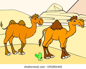 Two camels in the desert. Children color book. Animal.