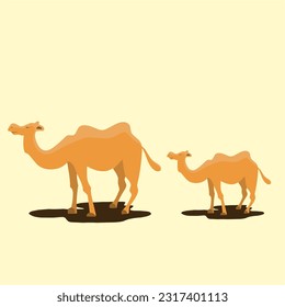 two camels design vector illustration on sunny background