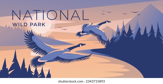 two canada geese fly to a mountain lake at dusk. Coniferous forest. Wild nature park. The blue color of the sunset. Tourism and travel advertising. Vector illustration