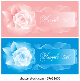 Two cards with delicate roses, decorated with lace ribbon. Vector.
