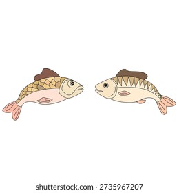Two carp fish. Pisces. Vector illustration. Two fish are looking at each other. Cartoon drawing. Fishing theme.
