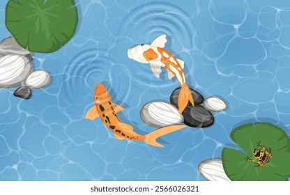 Two carps are swimming in a pond. Vector illustration.