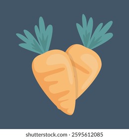 two carrot in isolated flat vector design