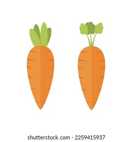 Dos ilustraciones vectoriales de zanahoria diseñadas en aislamientos planos de estilo caricaturista sobre fondo blanco. Icono de garabato. Daucus carota L.