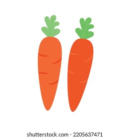 Two carrot vector vegetable products vector illustration 