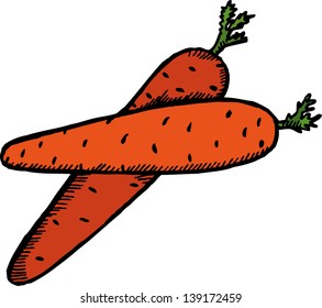 Two Carrots