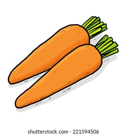 two carrots  / cartoon vector and illustration, hand drawn style, isolated on white background.