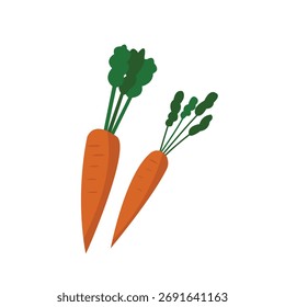 Ilustración plana de dos zanahorias sobre fondo blanco