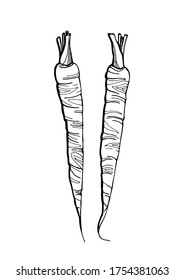 Two carrots. Graphic black and white image of a carrot drawn in black marker. Trace