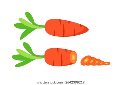 Two Carrots with Green Stems, One Sliced into Rounds on White Background Illustration