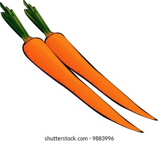  two carrots with it’s leaves	