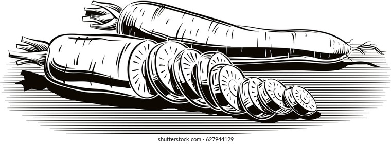 Two carrots on white background.