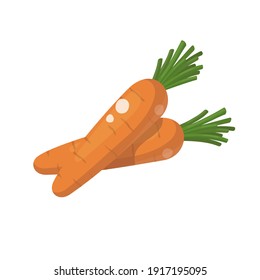 Dos zanahorias, ilustración de dibujos vectoriales, aisladas en fondo blanco.