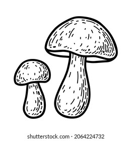 Two cartoon boletus isolated on a white background. Edible forest mushrooms. Vector hand-drawn illustration in doodle style. Perfect for autumn designs, cards, logo, decorations.