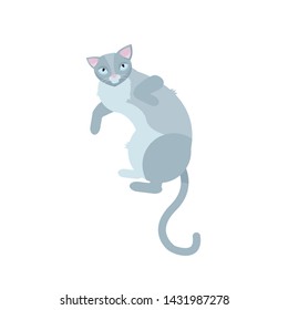 Two cartoon ginger cats, standing and sitting. Simple geometric flat vector illustration.