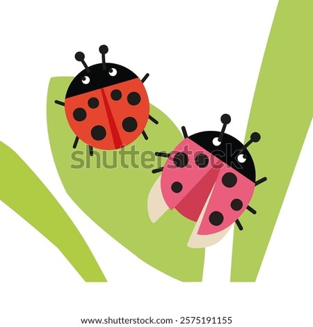 Two cartoon ladybugs on a green leaf.Bugs. Vector graphics.
