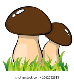 two cartoon mushrooms on white background vector