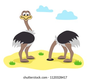 Two cartoon ostrichs in flat style. One of them hid his head in the sand. Vector illustration. 