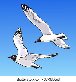 Two cartoon seagulls on a blue background. Sketch of the flying seagulls in the sky. Hand drawn vector illustration