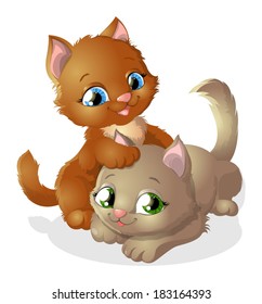 two cat