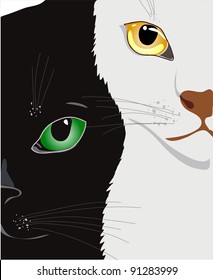  Two cat. Black and white.Vector.