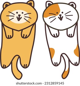 Dos caracteres de gato - pelo corto coreano