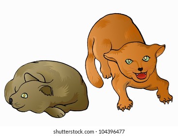 two cat in different pose sleeping and angry, isolated on white