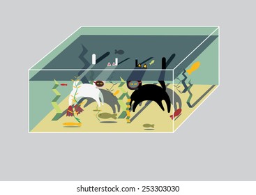 two cats in the aquarium is trying to catch fish in the mask