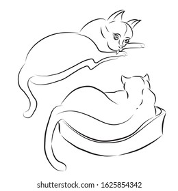 two cats, free hand linear draw