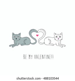 Two cats grey and white in love
