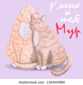 Two cats with hearts and an inscription I have for you Moore, the concept of love, romantic love, Valentine's Day