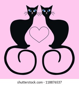 two cats in love
