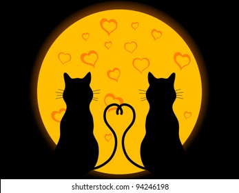 Two cats in love in the sunset