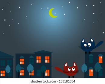 Two cats at night