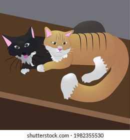two cats play and cuddle on the dresser