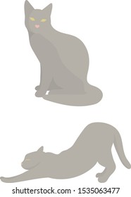 Two cats posing. Flat vector illustration