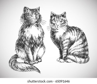 two cats realistic drawing - professional high quality