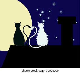 Two cats are sitting on the rooftop with their tails are heart-shaped.
