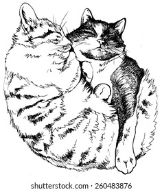 Two cats sleeping in an embrace - vector illustration isolated on white, stylized as engraving