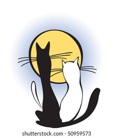 two cats with whiskers