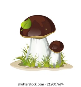 Two ceps isolated on a white background. Eps 10.
