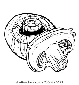 Dos Champignons dibujados a mano. Composición de dibujo de tinta de setas. Haga para el menú, las recetas y el diseño del paquete o la marca. Ilustración de comida de boceto de Vector.