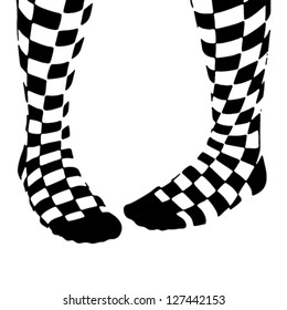 Two Checkered Socks on White Background
