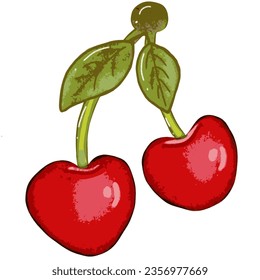 Two cherries, bright red, edible.