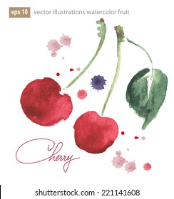 Two cherries illustration with watercolor splashes, vector image