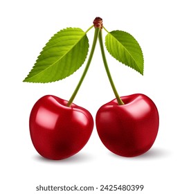 Two Cherries isolated on white backdrop, Sweet Red cherries with a big green leafs on its stem as package design element