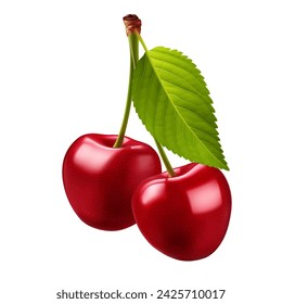 Two Cherries isolated on white, Sweet Red cherries with a big green leaf on its stem