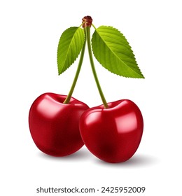 Two Cherries isolated on white background, Sweet Red cherries with a big green leaf on its stem