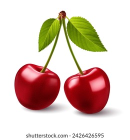 Two Cherries isolated on white background, Sweet Red cherries with a big green leafs on its stem